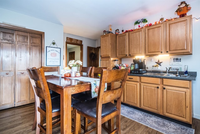 kitchen featuring dark hardwood / wood-style flooring and sink