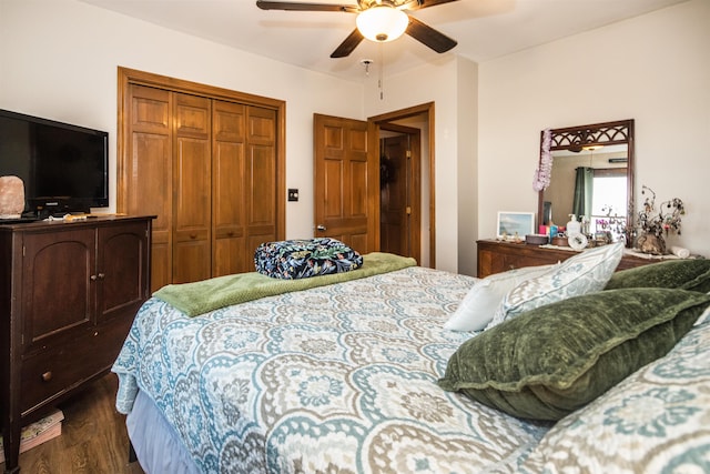 bedroom with a closet, dark hardwood / wood-style floors, and ceiling fan