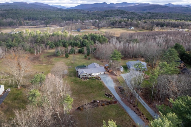 birds eye view of property featuring a mountain view