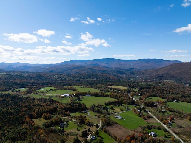 birds eye view of property featuring a mountain view