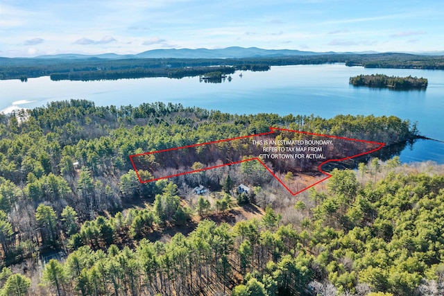 Camp Rd, Wolfeboro NH, 03894 land for sale