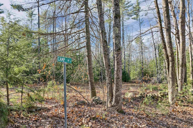 Listing photo 3 for Camp Rd, Wolfeboro NH 03894