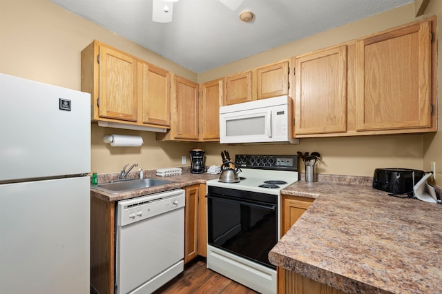 kitchen featuring light brown cabinetry, white appliances, dark hardwood / wood-style floors, and sink