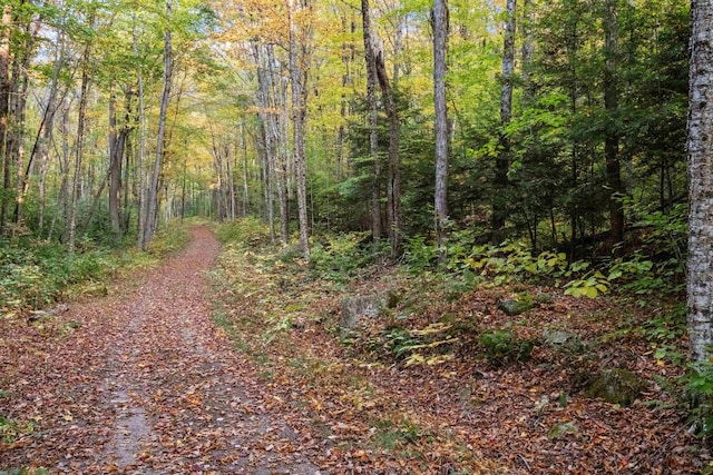 4 Hay Hill Rd, Lincoln, NH 03251 - view of road with a wooded view