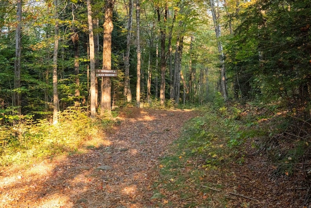 4 Hay Hill Rd, Lincoln, NH 03251 - view of wooded area