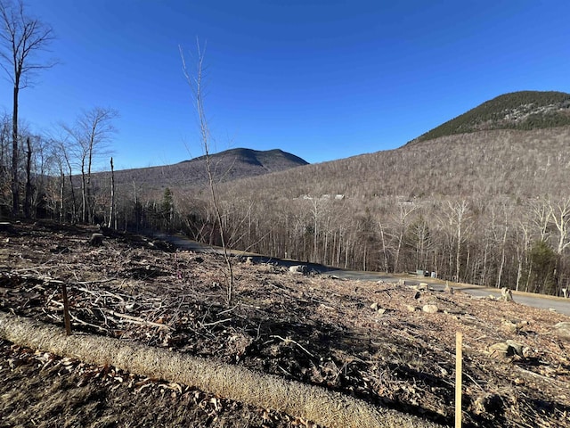4 Hay Hill Rd, Lincoln, NH 03251 - mountain view