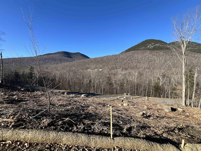 4 Hay Hill Rd, Lincoln, NH 03251 - mountain view