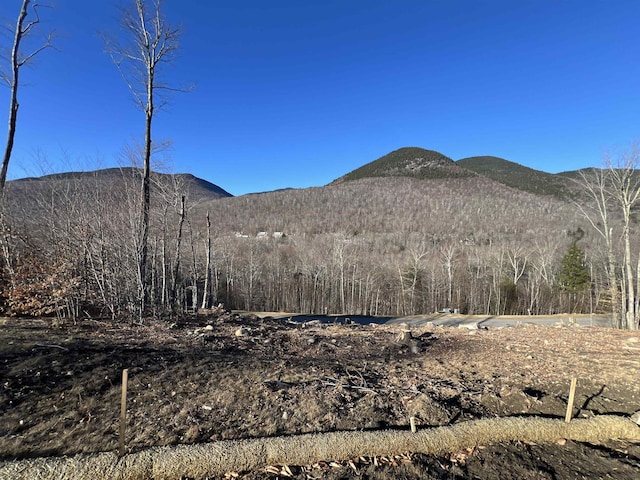 4 Hay Hill Rd, Lincoln, NH 03251 - view of mountain background