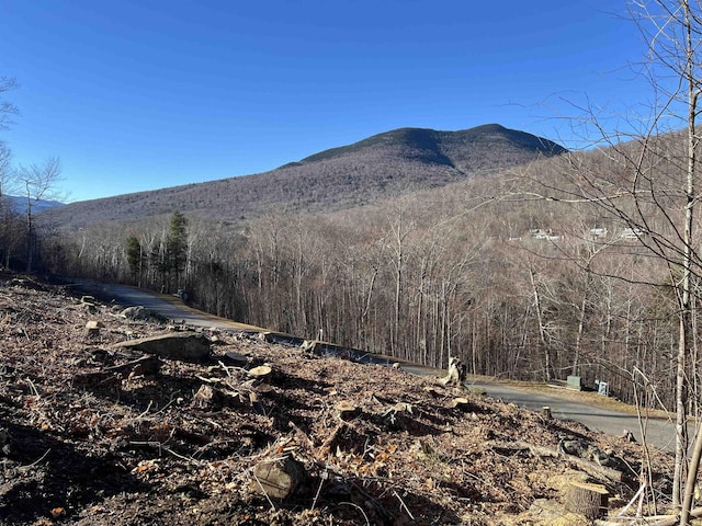 4 Hay Hill Rd, Lincoln, NH 03251 - view of mountain background with a forest