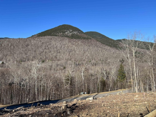 4 Hay Hill Rd, Lincoln, NH 03251 - view of mountain backdrop