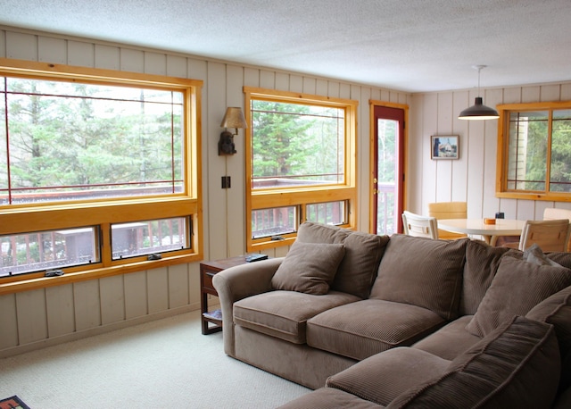 carpeted living room featuring a textured ceiling