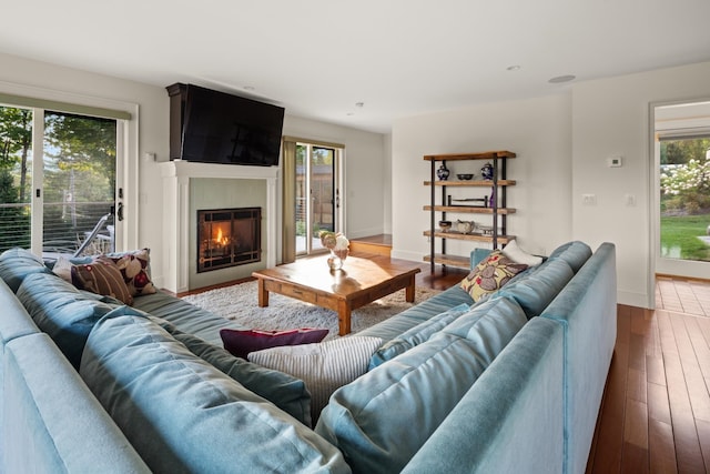 living room featuring a fireplace and hardwood / wood-style flooring