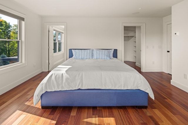 bedroom with dark hardwood / wood-style floors, a spacious closet, and a closet