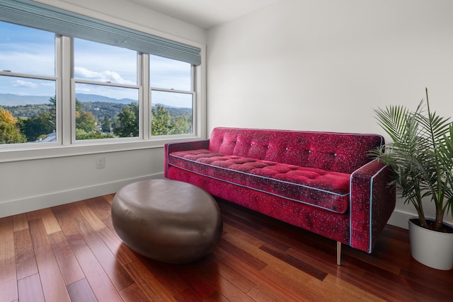 living room with a mountain view and hardwood / wood-style floors