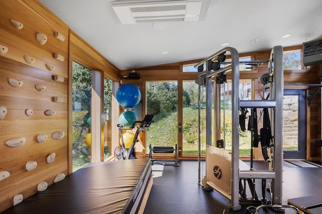 workout room featuring lofted ceiling, a healthy amount of sunlight, and wood walls