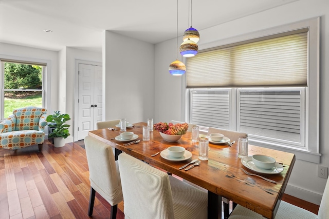 dining area featuring wood-type flooring