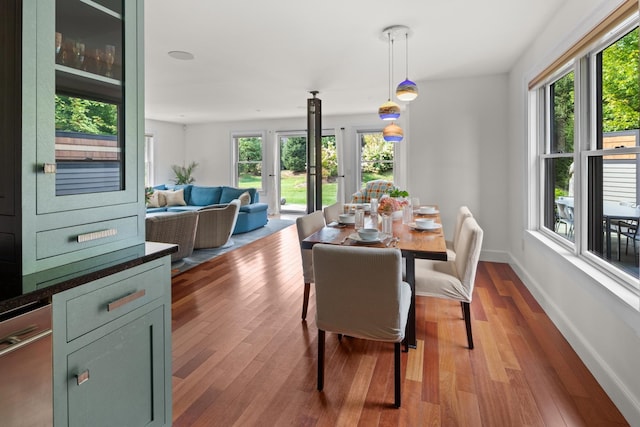 dining area featuring a healthy amount of sunlight and hardwood / wood-style flooring