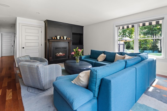 living room featuring dark wood-type flooring