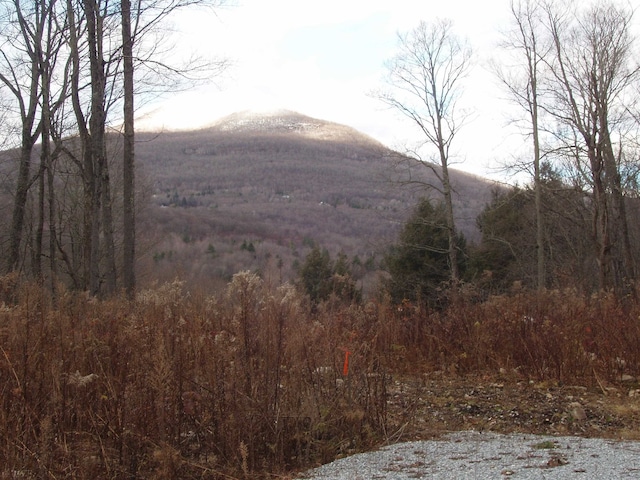 00 Finbars Forest Rd, Manchester VT, 05255 land for sale