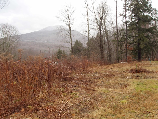 Listing photo 3 for 00 Finbars Forest Rd, Manchester VT 05255