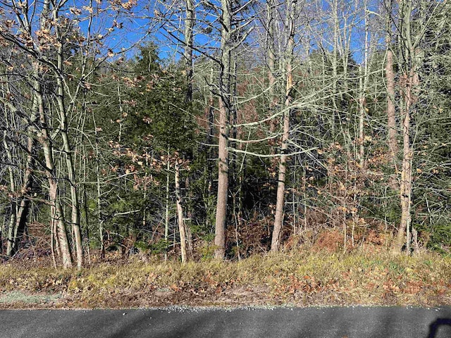 LOT5 Timmothy Rd, Sunapee NH, 03782 land for sale