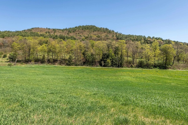 000 Green Mountain Tpke, Chester VT, 05143 land for sale