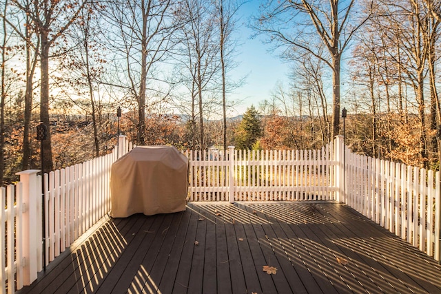 wooden terrace with grilling area