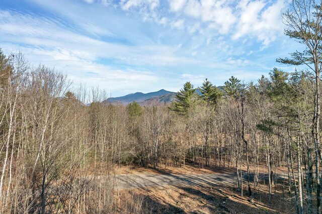 69 Grandview Dr, Woodstock, NH 03293 - property view of mountains