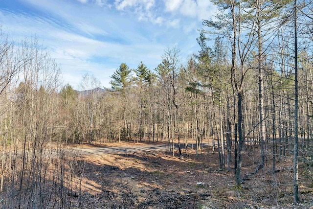 69 Grandview Dr, Woodstock, NH 03293 - view of nature