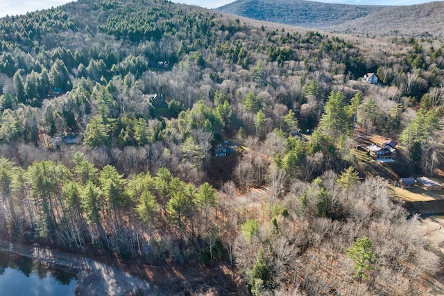 69 Grandview Dr, Woodstock, NH 03293 - property view of mountains with a water view