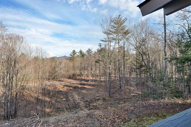 69 Grandview Dr, Woodstock, NH 03293 - view of landscape
