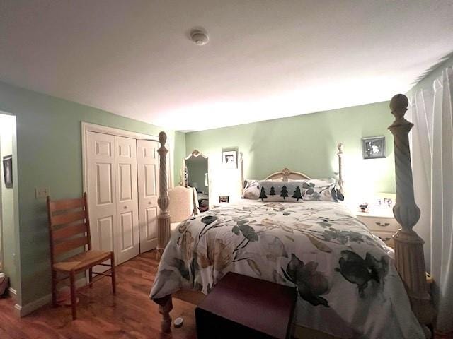 bedroom featuring wood-type flooring and a closet