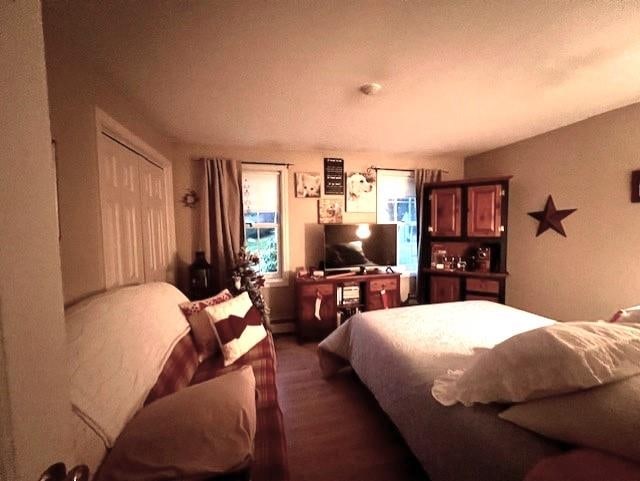 bedroom featuring dark wood-type flooring