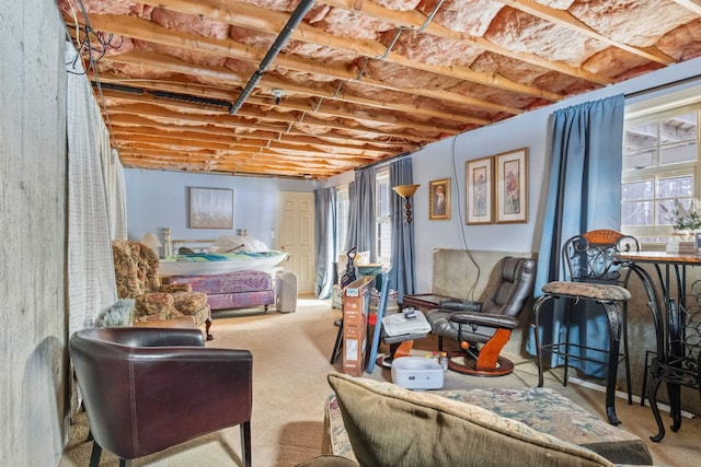 bedroom with carpet flooring