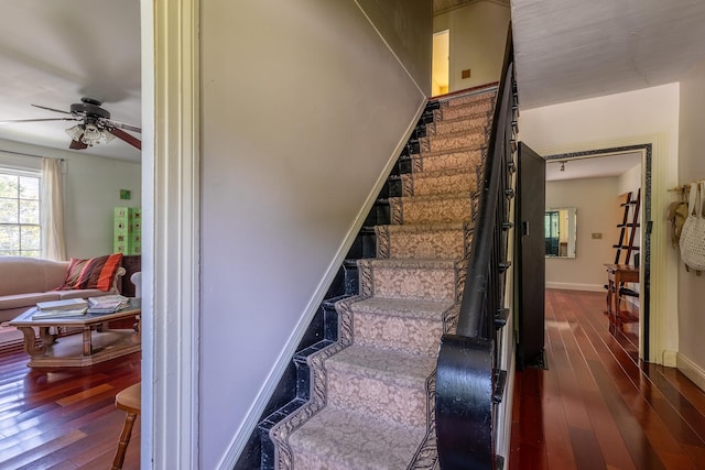 staircase with hardwood / wood-style floors and ceiling fan