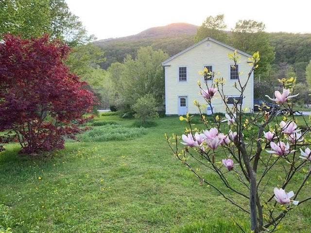 view of yard with a mountain view