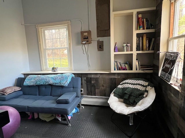 interior space featuring carpet floors, electric panel, and multiple windows