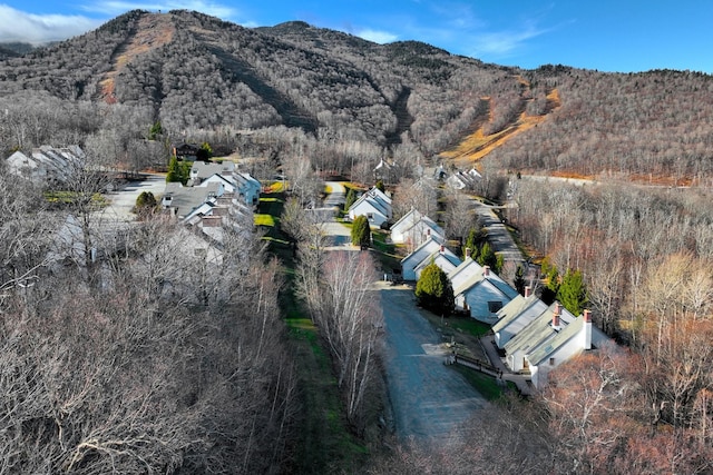 birds eye view of property featuring a mountain view