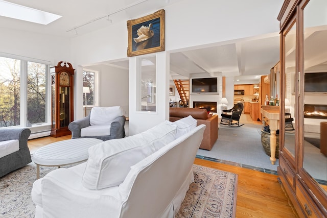 living room featuring a skylight, a large fireplace, rail lighting, a baseboard radiator, and light hardwood / wood-style floors