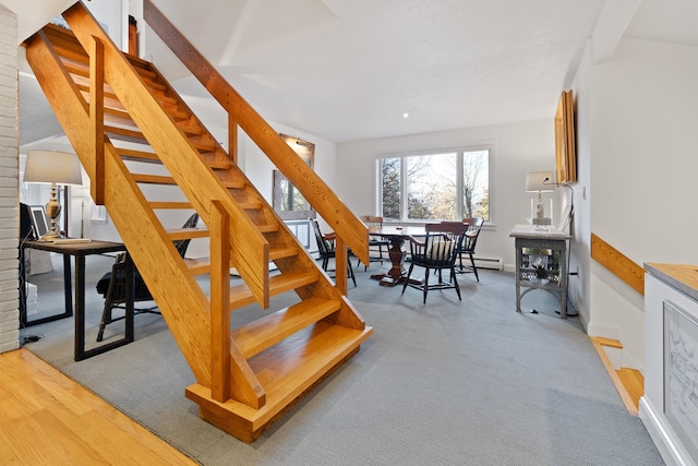 staircase with hardwood / wood-style floors and a baseboard radiator