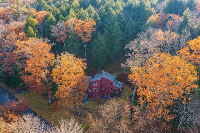 bird's eye view