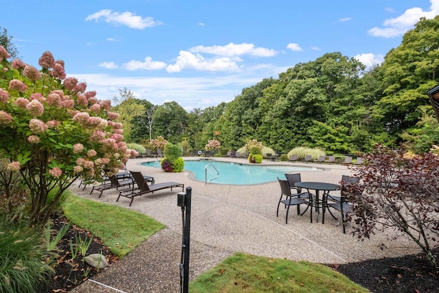 view of swimming pool featuring a patio