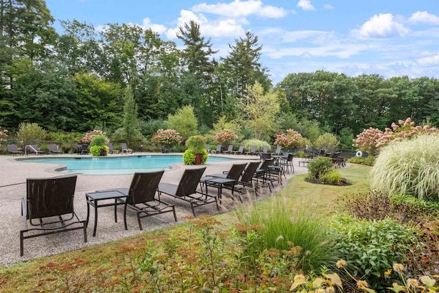 view of swimming pool with a patio area