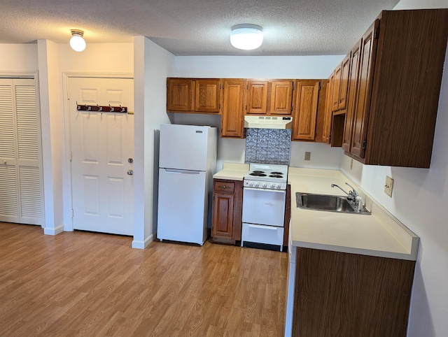 kitchen featuring tasteful backsplash, sink, white appliances, and light hardwood / wood-style flooring