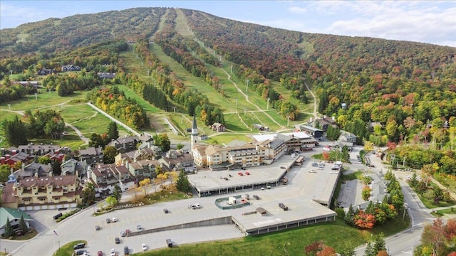 aerial view with a mountain view