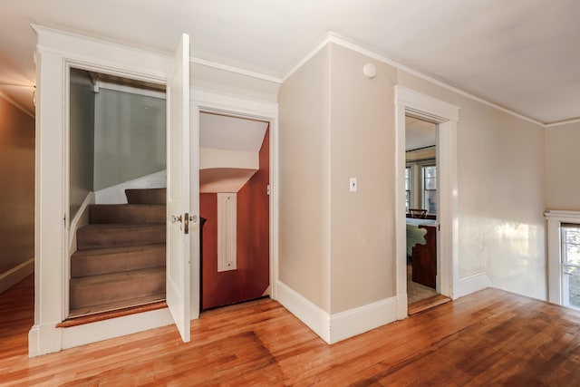 interior space featuring ornamental molding and wood-type flooring