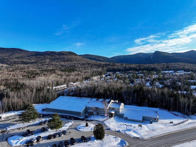 bird's eye view featuring a mountain view