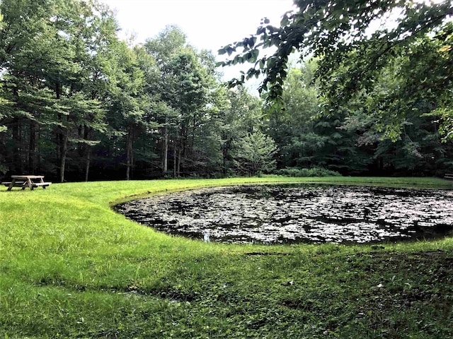 view of yard with a water view