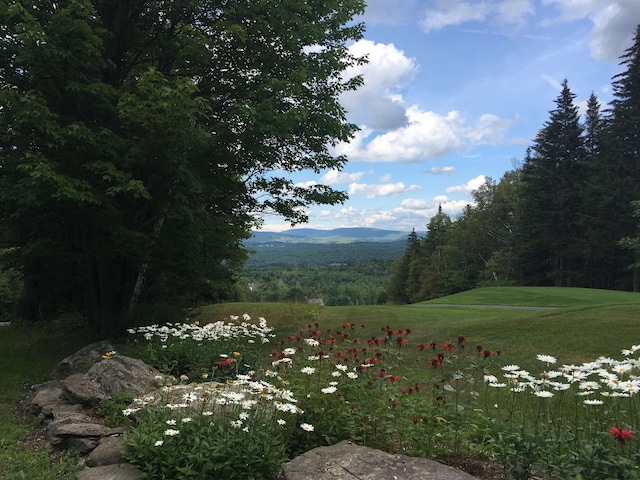 view of mountain feature