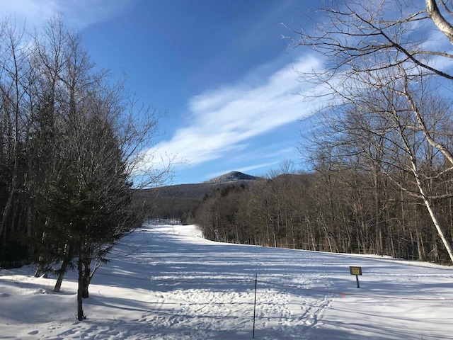 view of mountain feature